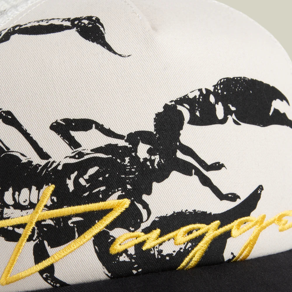 Outside the Lines Scorpion
